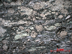 Éclogite Méta-basalte à omphacite, grenat et glaucophane Alpes Val Clavalité Fénis 