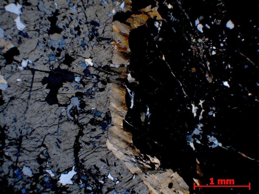  Microscope Éclogite Métabasite à grenat et omphacite Alpes   