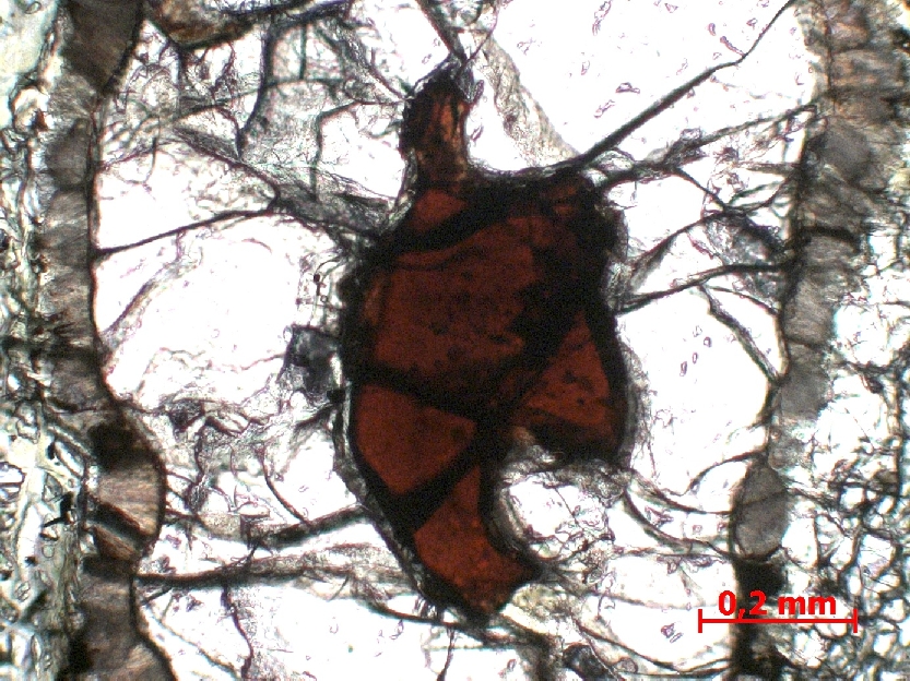  Microscope Péridotite à grenat Péridotite du Bois des Feuilles Massif central Monts du Lyonnais Saint Romain en Jarez Bois des Feuilles