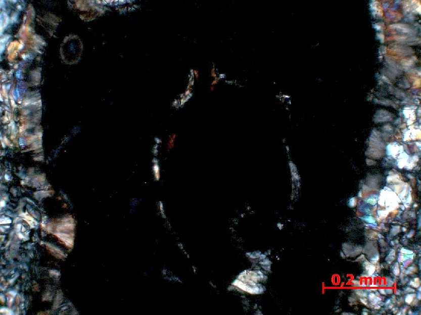 Microscope Péridotite à grenat Péridotite du Bois des Feuilles Massif central Monts du Lyonnais Saint Romain en Jarez Bois des Feuilles