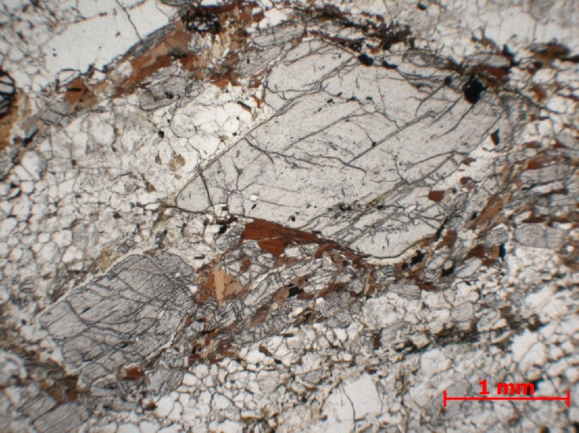  Microscope Gneiss à grenat et disthène Paragneiss granulitique    