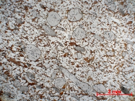 Gneiss à grenat et disthène Paragneiss granulitique Massif central Haut Allier Agnat Champaix