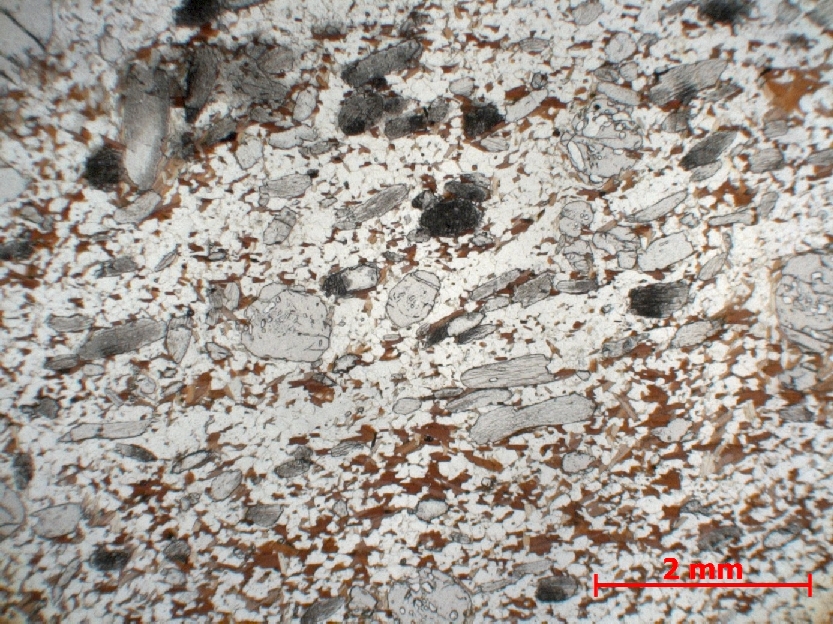  Microscope Gneiss à grenat et disthène Paragneiss granulitique Massif central Haut Allier Agnat Champaix
