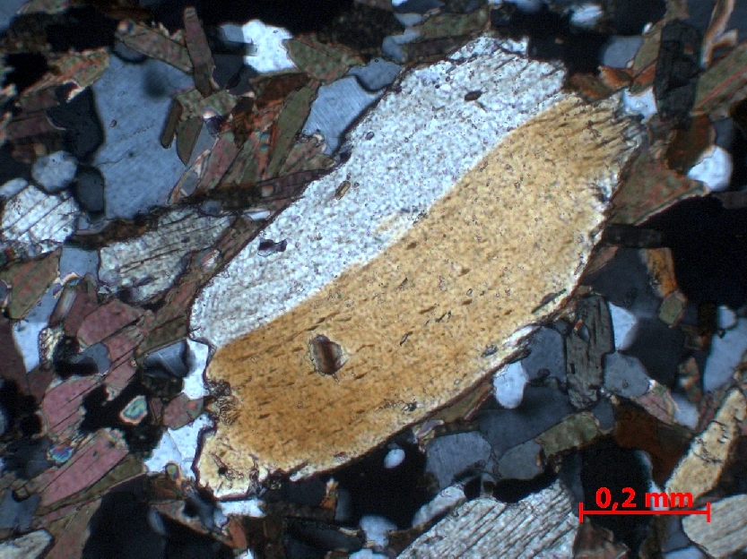 Microscope Gneiss à grenat et disthène Paragneiss granulitique Massif central Haut Allier Agnat Champaix