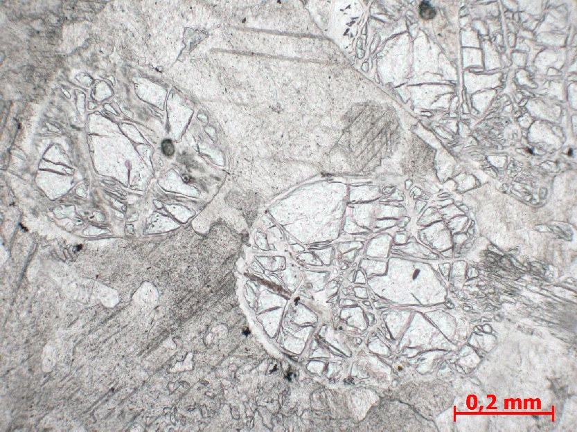  Microscope Marbre à olivine et phlogopite Cipolin de Saint Philippe Vosges  Sainte Marie aux Mines Ancienne carrière de Saint-Philippe