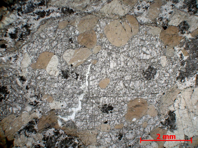  Microscope Granulite Granulite basique Alpes Valle Strona  
