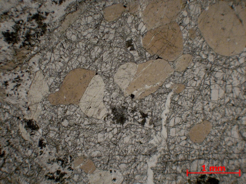  Microscope Granulite Granulite basique Alpes Valle Strona  