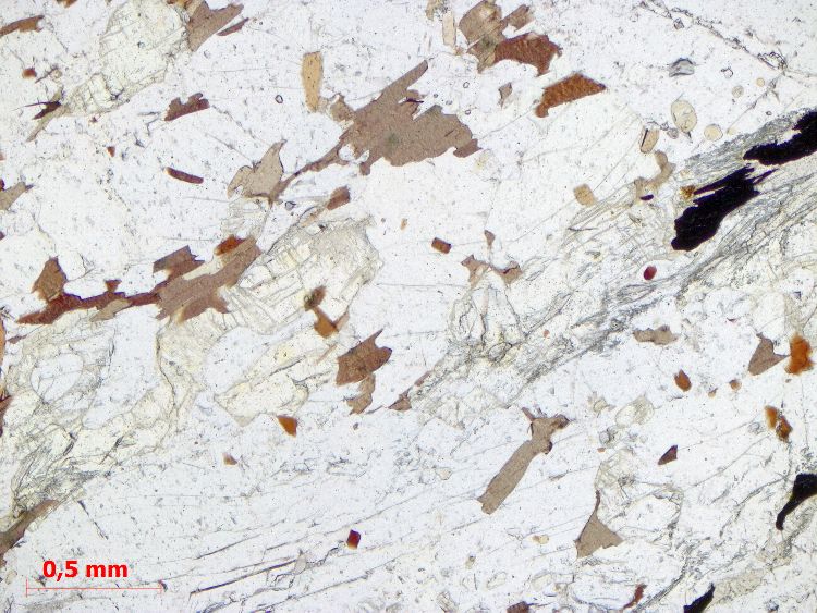  Microscope Kinzigite Granulite à cordiérite, sillimanite et grenat Massif central  Saint Pierre Bellevue Le Grand Janon