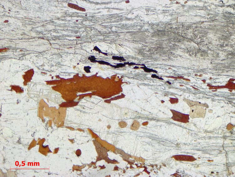  Microscope Kinzigite Granulite à cordiérite, sillimanite et grenat Massif central  Saint Pierre Bellevue Le Grand Janon