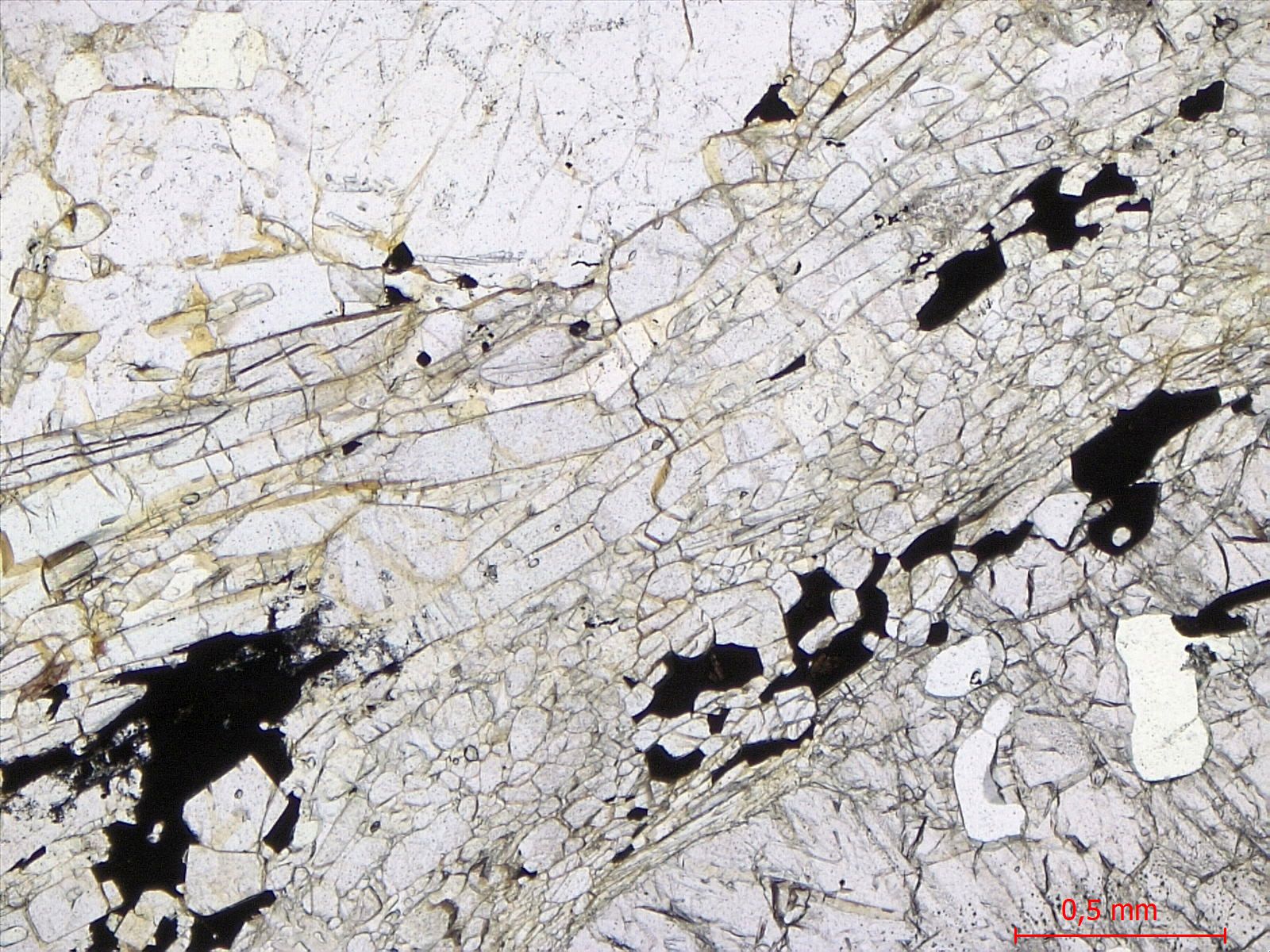  Microscope Granulite à sillimanite Paragneiss de la série de Valpelline Alpes Nappe de la Dent Blanche Valpelline Entre Dzovennoz et Bionaz