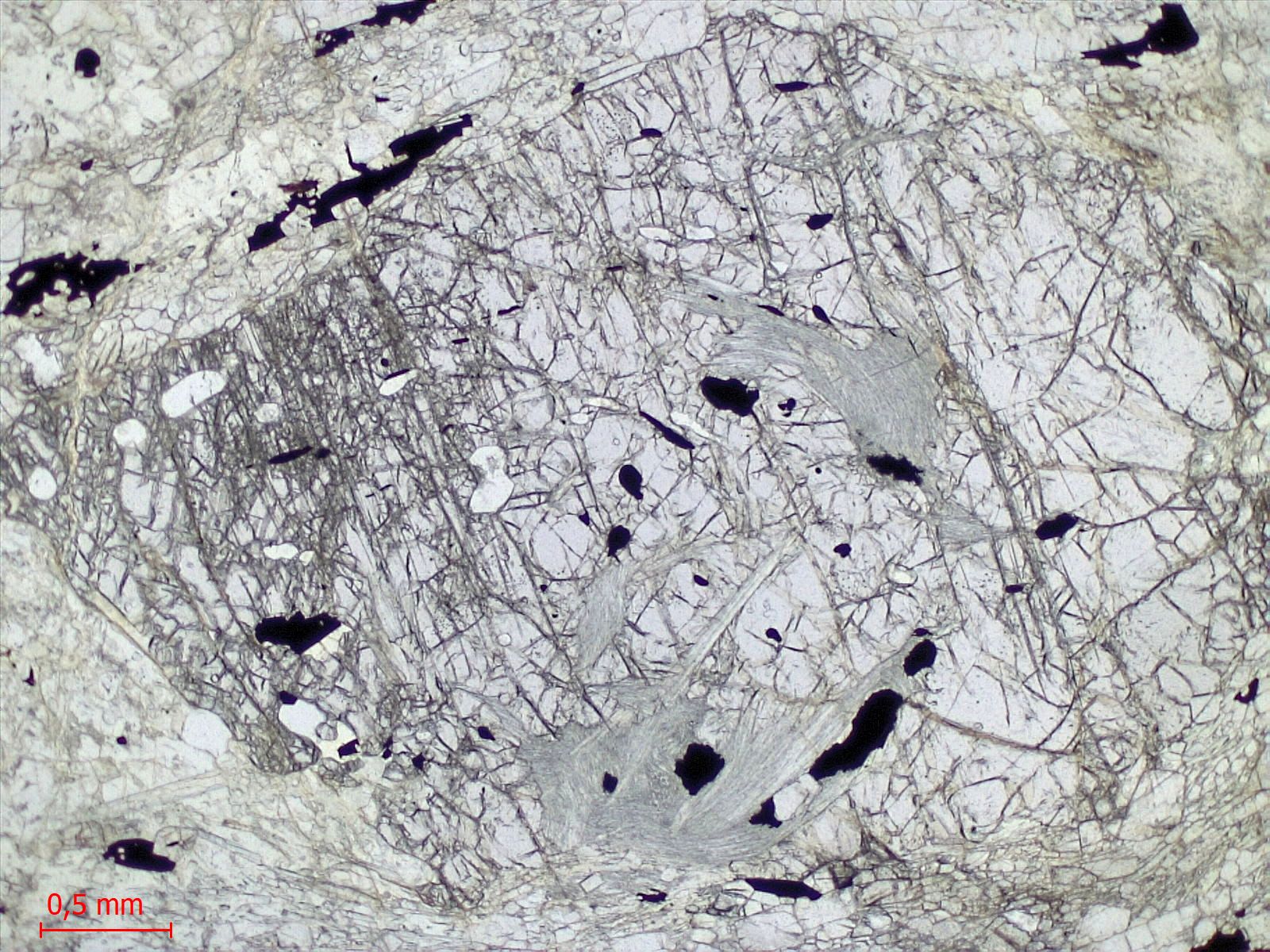  Microscope Granulite à sillimanite Paragneiss de la série de Valpelline Alpes Nappe de la Dent Blanche Valpelline Entre Dzovennoz et Bionaz