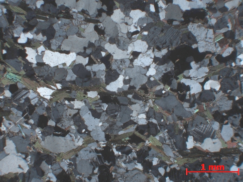 Microscope Migmatite Migmatite