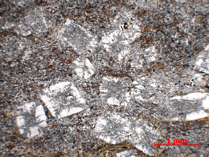  Microscope Cornéenne à andalousite Cornéenne à andalousite Massif armoricain  Glomel Mine de Guerphalès