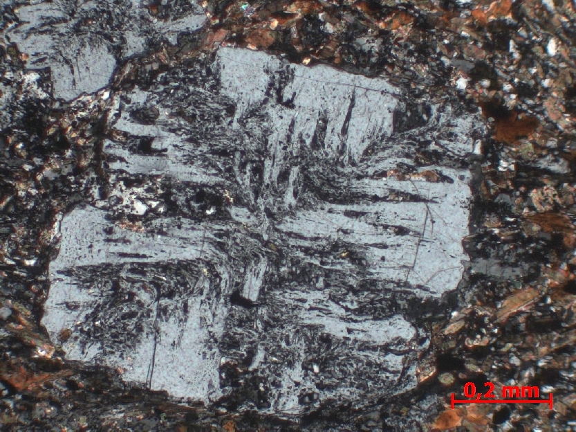  Microscope Cornéenne à andalousite Cornéenne à andalousite Massif armoricain  Glomel Mine de Guerphalès