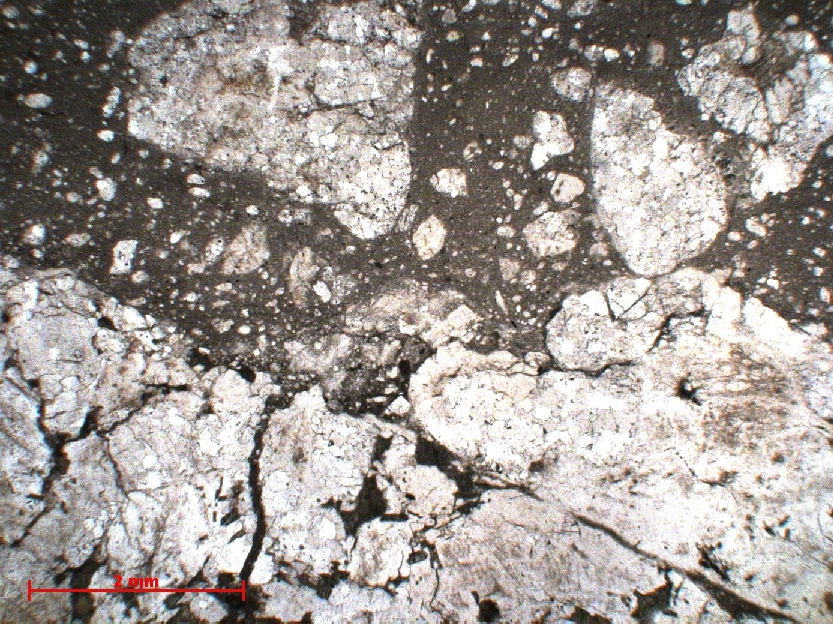  Microscope Impactite Suevite Cratère d’impact de Vredefort Vredefort Dome Parys Carrière de Leeukop