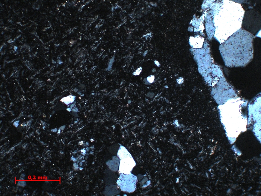  Microscope Impactite Suevite Cratère d’impact de Vredefort Vredefort Dome Parys Carrière de Leeukop