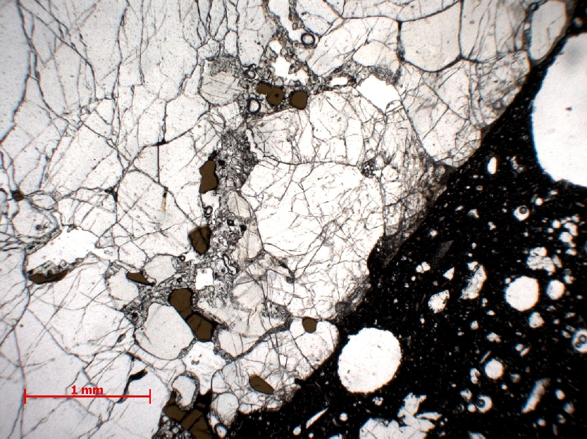  Microscope Lherzolite à spinelle Nodule de péridotite du maar de Borée Massif central Velay Borée Carrières de Molines