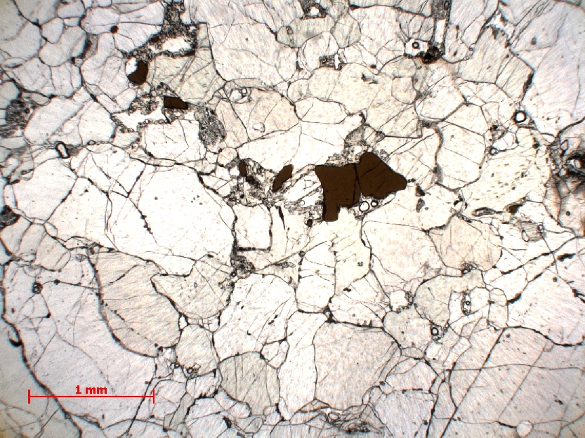  Microscope Lherzolite à spinelle Nodule de péridotite du maar de Borée Massif central Velay Borée Carrières de Molines