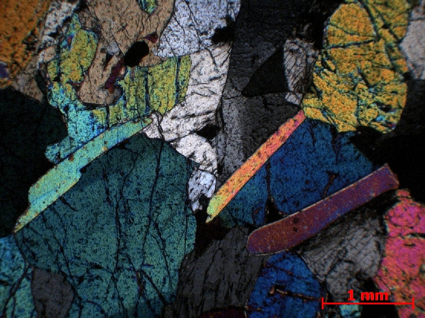  Microscope Lherzolite à phlogopite Péridotite de Finero Alpes Massif péridotitique de Finero  