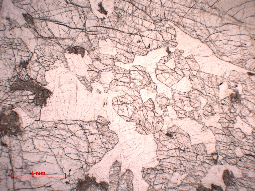  Microscope Lherzolite Péridotite de Balmuccia Alpes  Balmuccia 