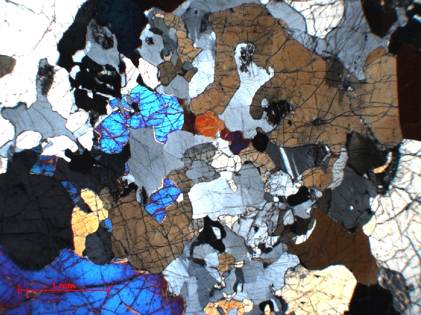 Microscope Lherzolite Péridotite de Balmuccia Alpes  Balmuccia 