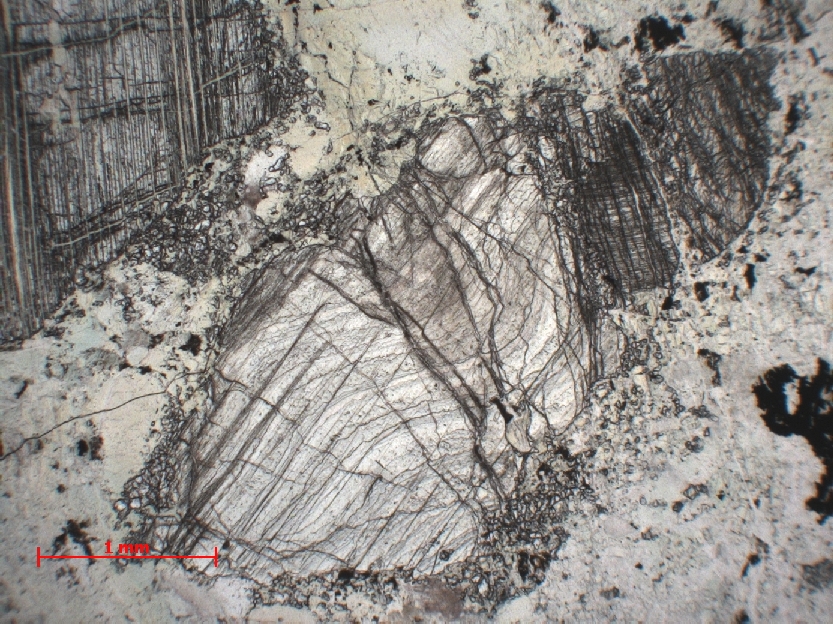  Microscope Serpentinite Péridotite du Chenaillet Alpes Massif du Chenaillet Montgenèvre 