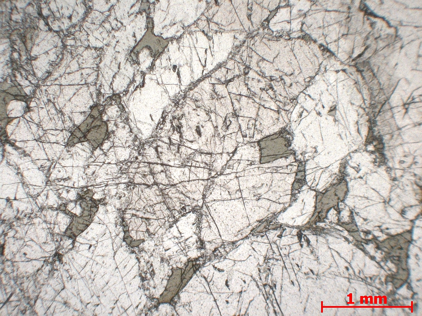 Pyroxénite à spinelle Pyroxénite de Lers Pyrénées  Le Port Proximité de l’étang de Lers