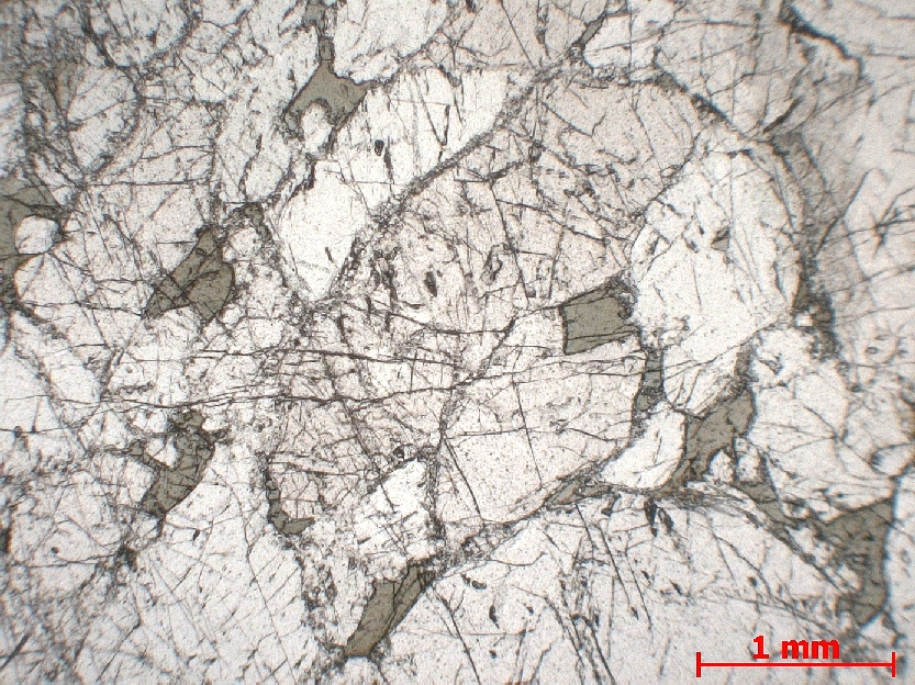  Microscope Pyroxénite à spinelle Pyroxénite de Lers Pyrénées  Le Port Proximité de l’étang de Lers