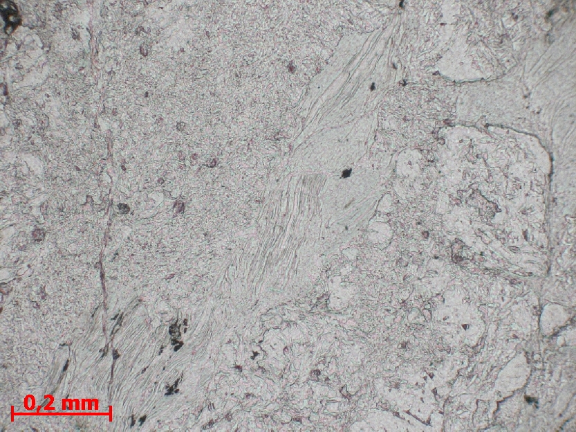  Microscope Brèche à chlorite, talc et serpentine Brèche de faille hydrothermalisée Pyrénées  Saint Arnac 