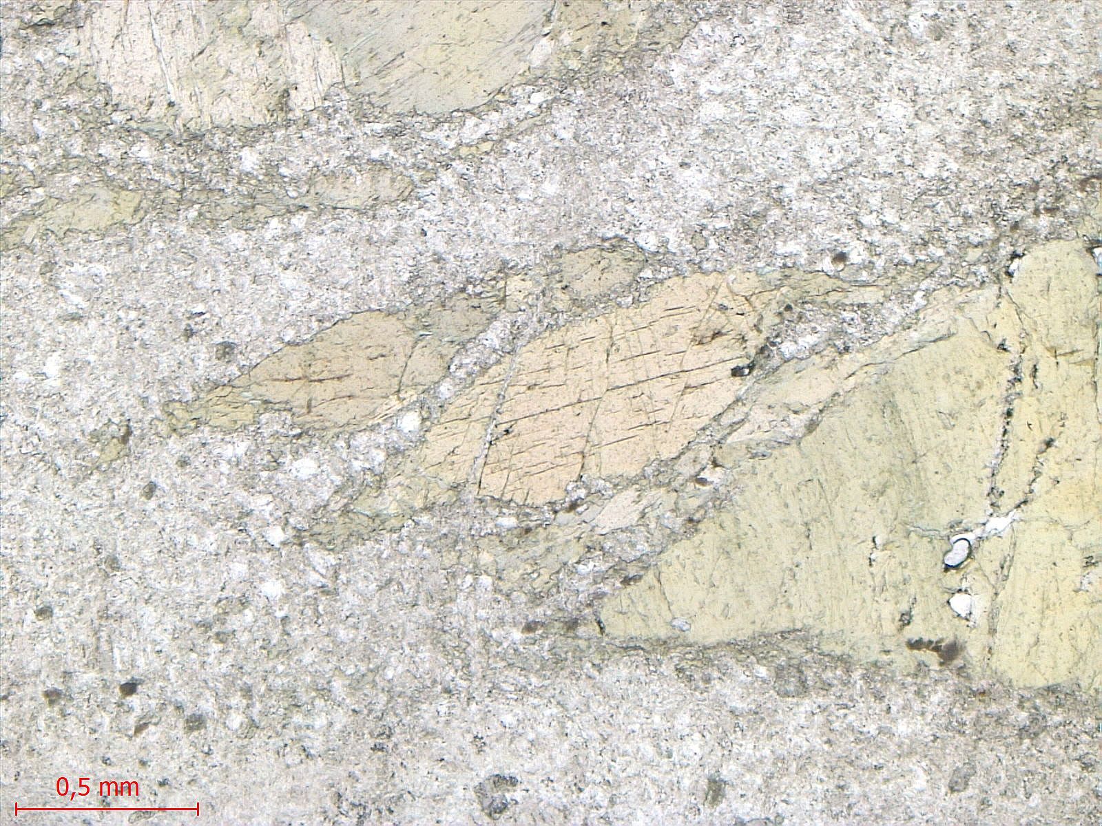  Microscope Méta-gabbro Gabbro de Chamrousse Alpes Ophiolite de Chamrousse Chamrousse 