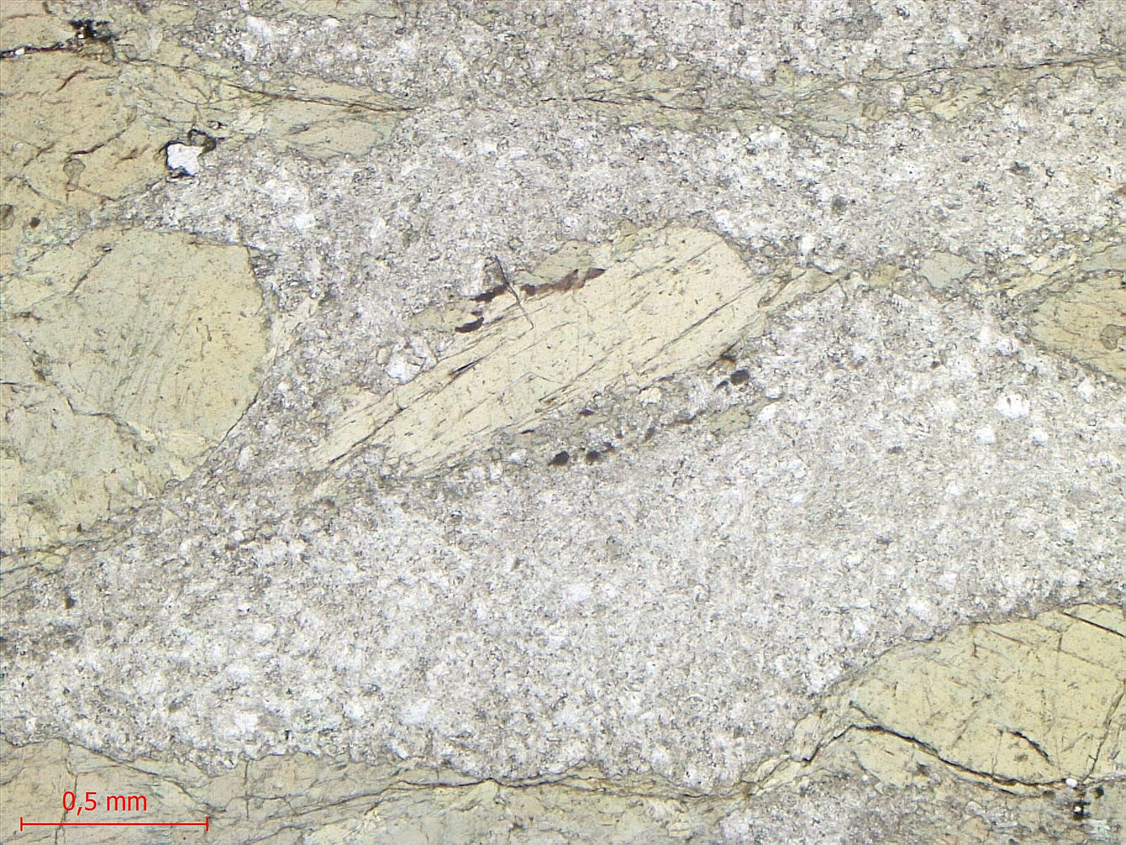 Méta-gabbro Gabbro de Chamrousse Alpes Ophiolite de Chamrousse Chamrousse 