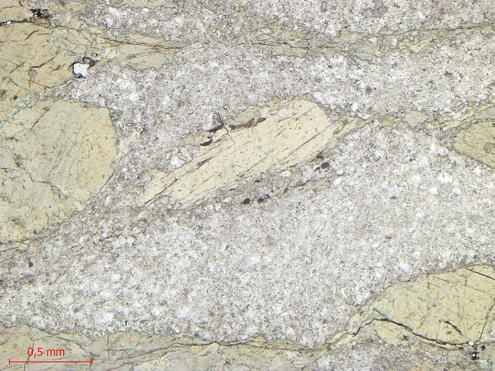  Microscope Méta-gabbro Gabbro de Chamrousse Alpes Ophiolite de Chamrousse Chamrousse 