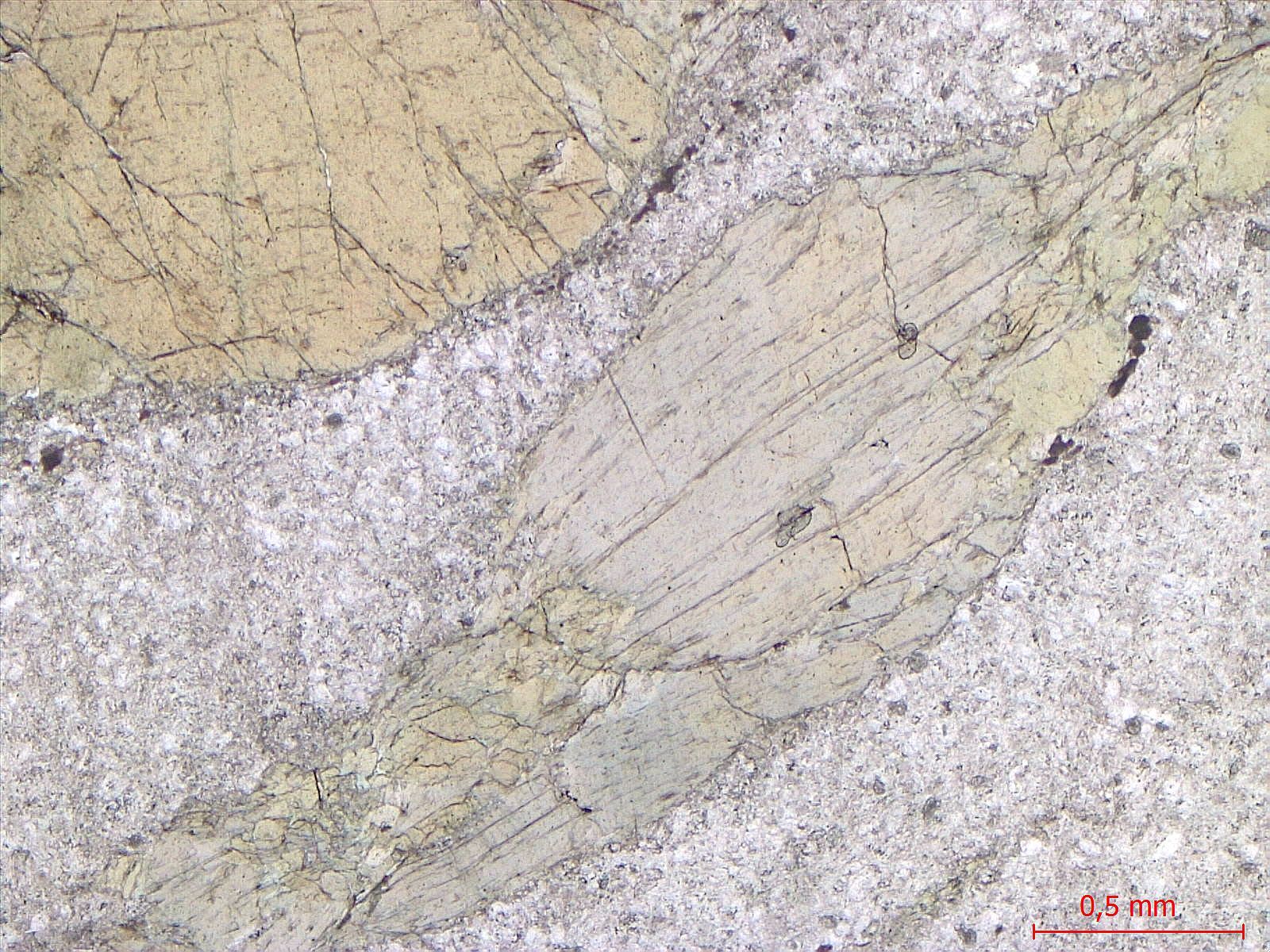  Microscope Méta-gabbro Gabbro de Chamrousse Alpes Ophiolite de Chamrousse Chamrousse 