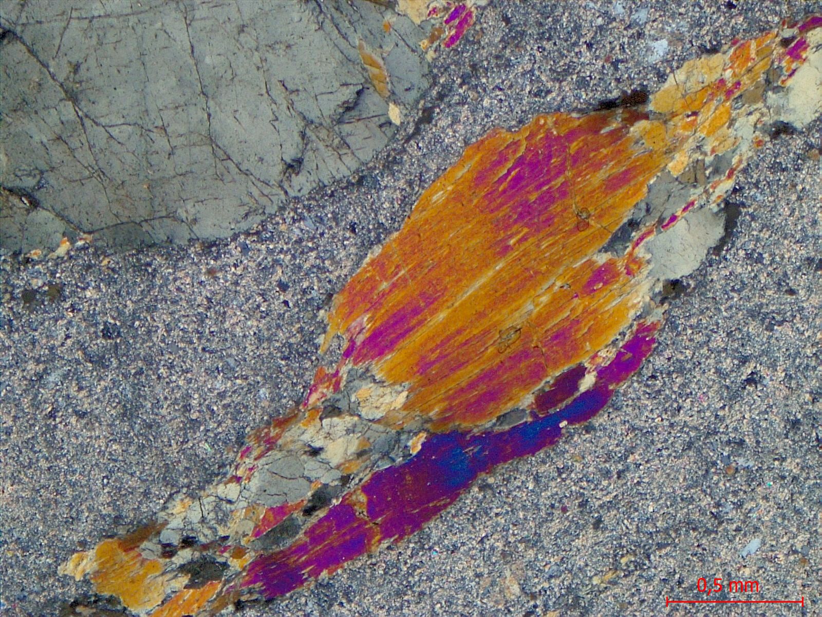  Microscope Méta-gabbro Gabbro de Chamrousse Alpes Ophiolite de Chamrousse Chamrousse 