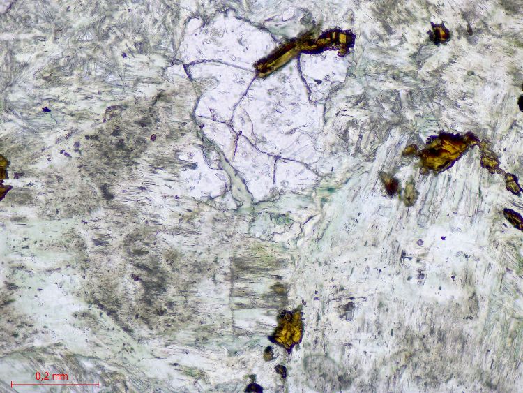 Microscope Éclogite Éclogite de l’Unité Basale de la méta-ophiolitique du Mont Viso Alpes  Sampeyre Verné