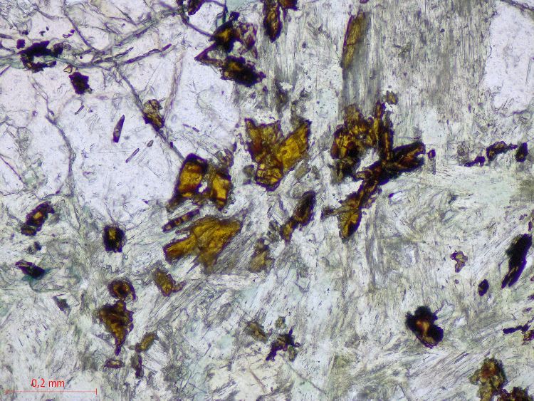  Microscope Éclogite Éclogite de l’Unité Basale de la méta-ophiolitique du Mont Viso Alpes  Sampeyre Verné