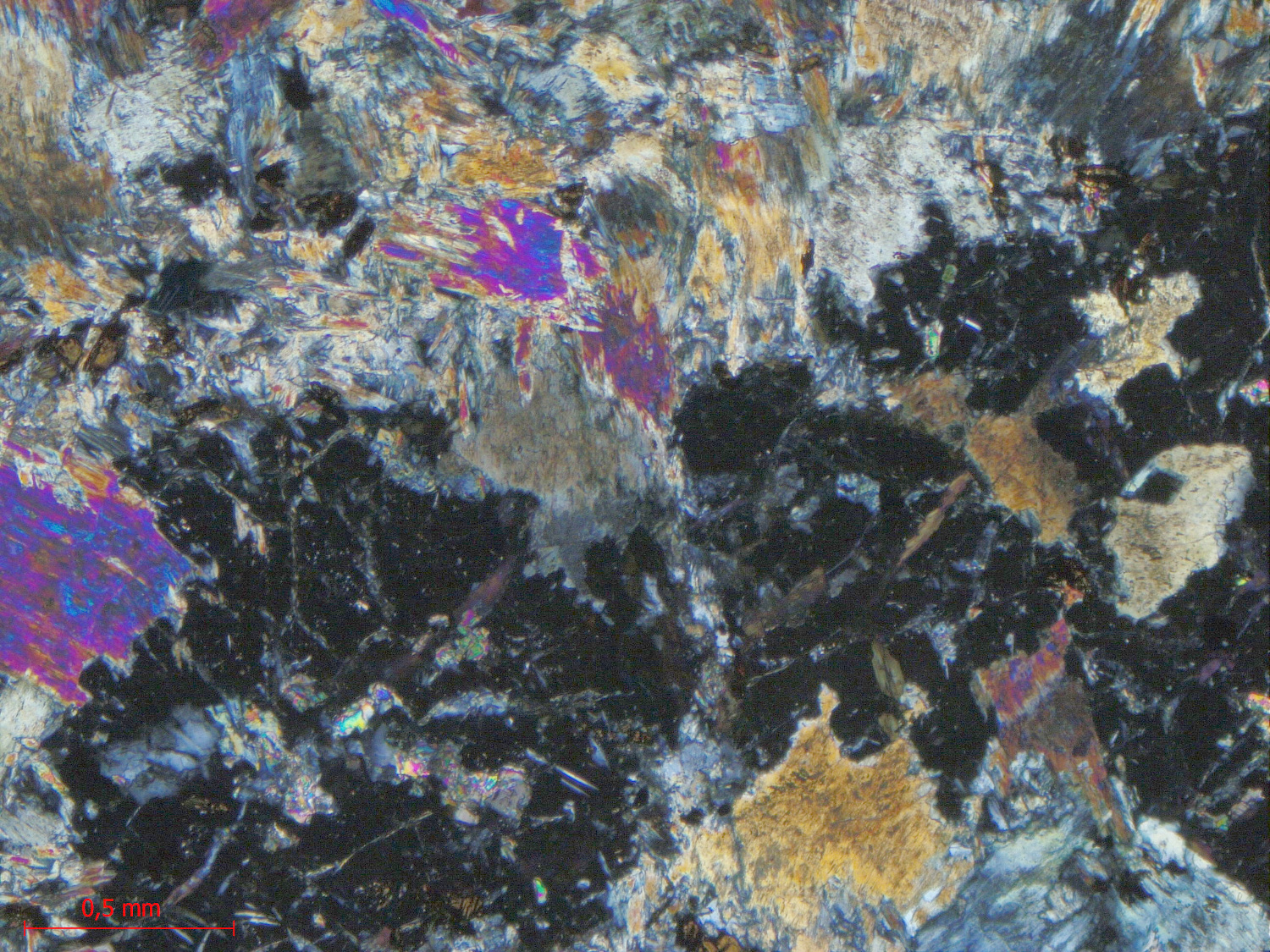 Éclogite Éclogite de l’Unité Basale de la méta-ophiolitique du Mont Viso Alpes  Sampeyre Verné
