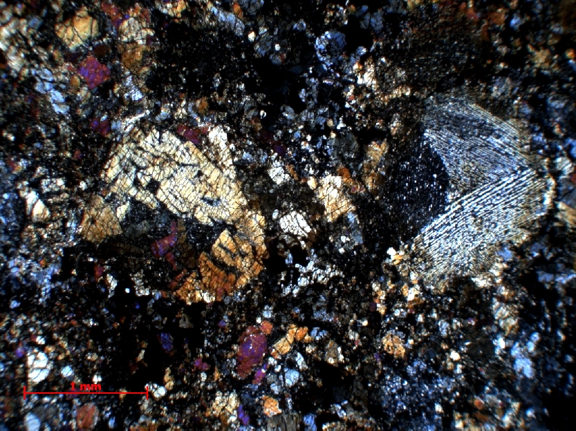  Microscope Chondrite ordinaire Chondrite ordinaire LL6 (W5)    