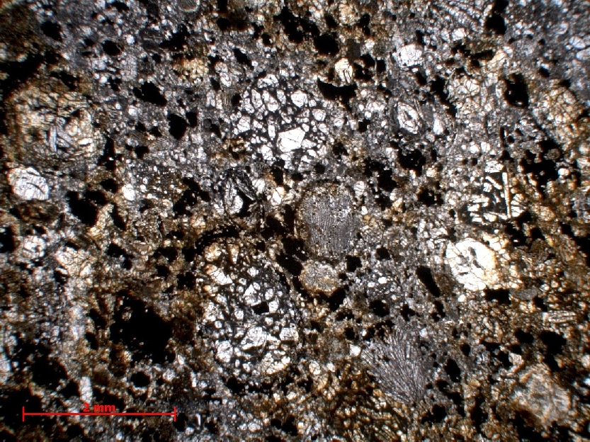  Microscope Chondrite ordinaire Chondrite ordinaire H5 (S2, W1)    