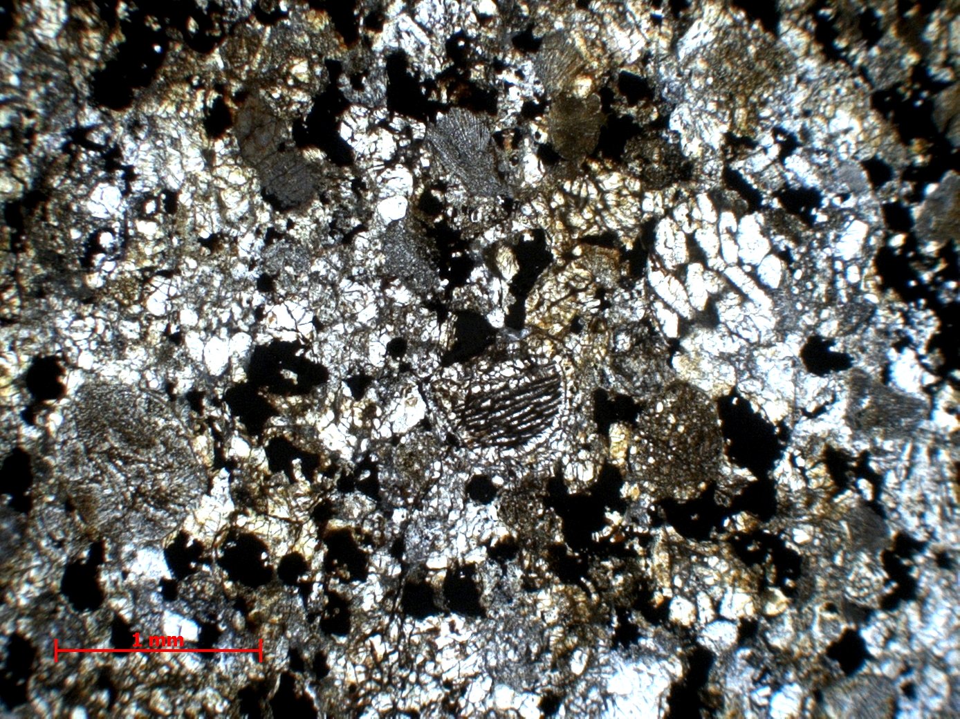 Chondrite ordinaire Chondrite ordinaire H5 (S2, W1)    