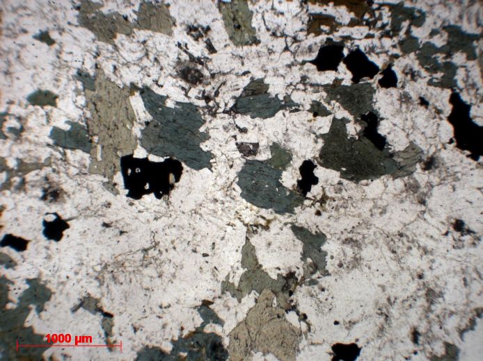  Microscope Diorite Diorite 