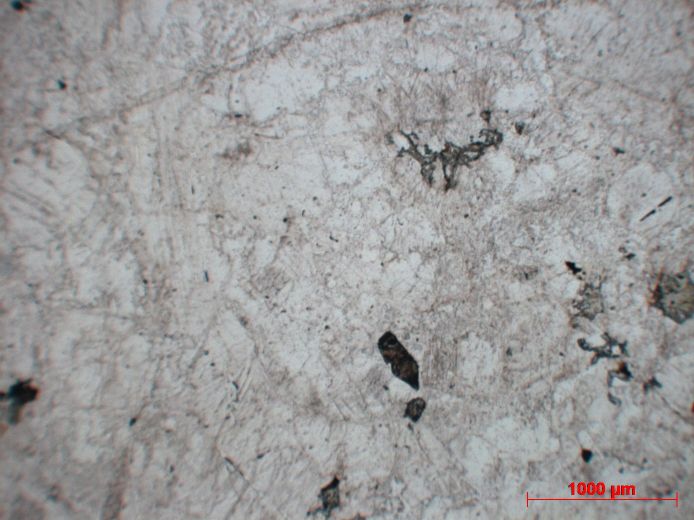  Microscope Plagiogranite Plagiogranite Corse   