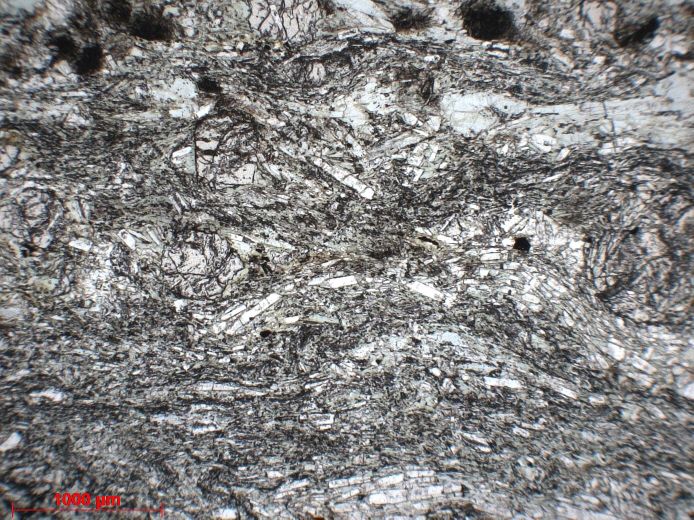  Microscope Métabasite à lawsonite, grenat et actinote Métabasite à lawsonite, grenat et actinote Corse Massif du Monte San Petrone Saliceto Punta Castellare
