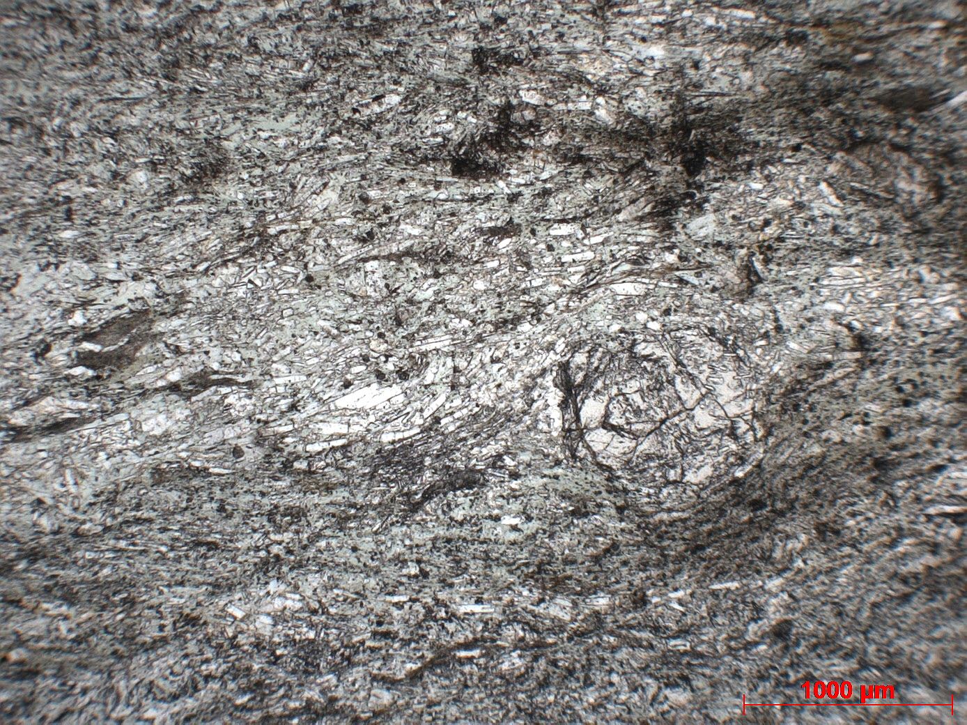 Métabasite à lawsonite, grenat et actinote Métabasite à lawsonite, grenat et actinote Corse Massif du Monte San Petrone Saliceto Punta Castellare