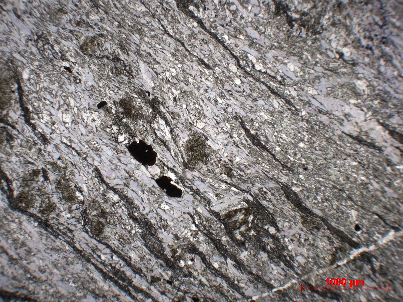 Éclogite Métabasite à omphacite, glaucophane et grenat Corse Massif du Monte San Petrone Pie-d’Orezza Campodonico