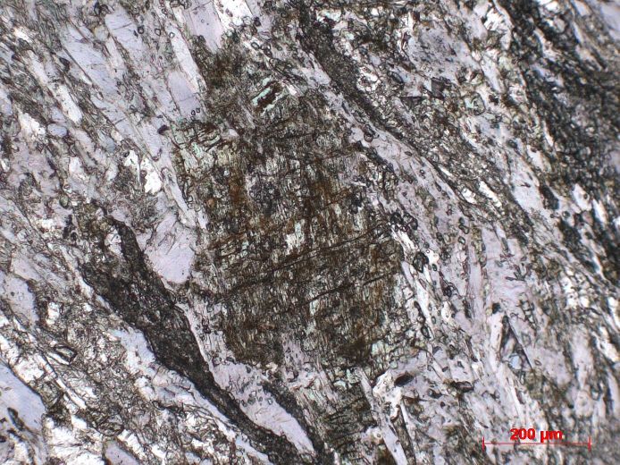  Microscope Éclogite Métabasite à omphacite, glaucophane et grenat Corse Massif du Monte San Petrone Pie-d’Orezza Campodonico