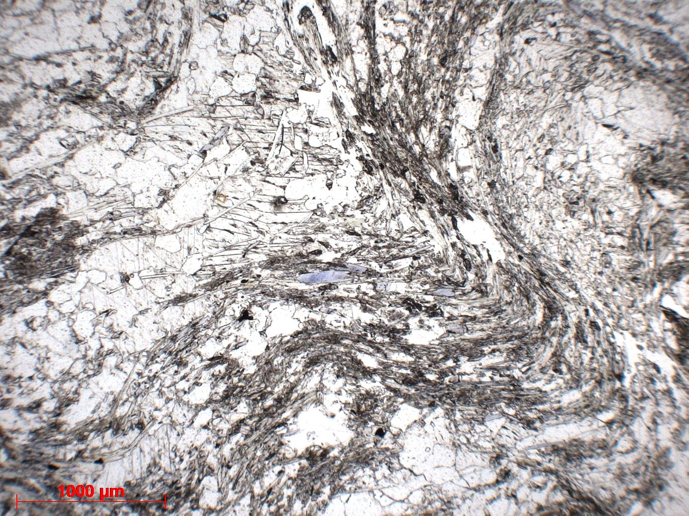 Marbre à glaucophane, quartz et muscovite Marbre à glaucophane, quartz et muscovite Corse Massif du Monte San Petrone Bustanico Punta di Caldane