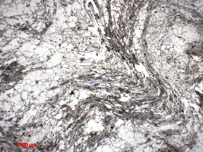  Microscope Marbre à glaucophane, quartz et muscovite Marbre à glaucophane, quartz et muscovite Corse Massif du Monte San Petrone Bustanico Punta di Caldane