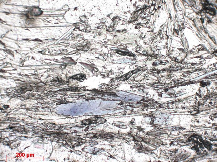  Microscope Marbre à glaucophane, quartz et muscovite Marbre à glaucophane, quartz et muscovite Corse Massif du Monte San Petrone Bustanico Punta di Caldane
