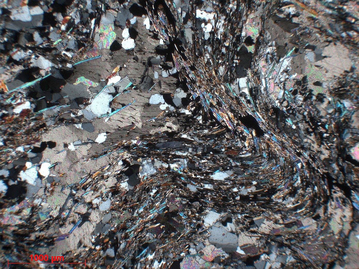 Marbre à glaucophane, quartz et muscovite Marbre à glaucophane, quartz et muscovite Corse Massif du Monte San Petrone Bustanico Punta di Caldane